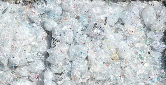 환경의 날, 쌓여있는 투명페트병. 연합뉴스