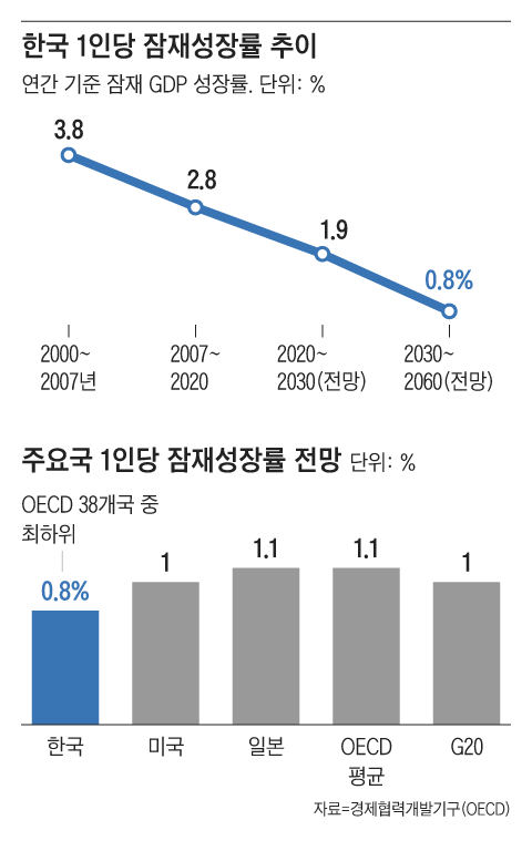 그래픽=조선디자인랩 한유진