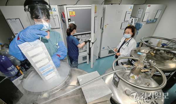 13일 오전 순천향대 부천병원 인체유래물은행에서 연구원들이 영하 196도의 액체질소탱크에 세포조직을 보관하고 있다. 조주현기자