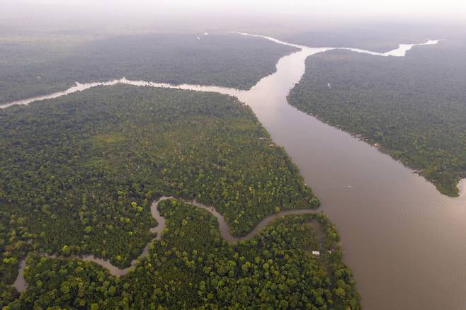 아마존 강 [게티이미지]