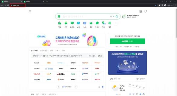 정상 네이버 사이트/국가정보원