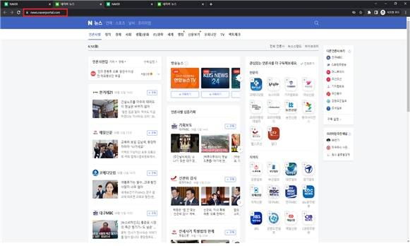 피싱 사이트 뉴스화면/국가정보원