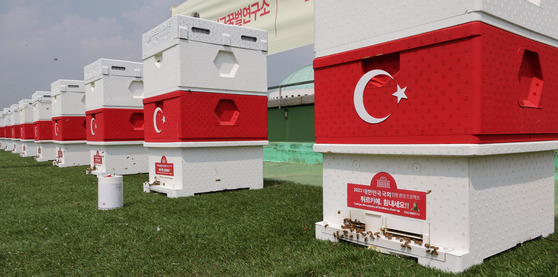 Honey bees make honey at a harvesting event held on the roof of the National Assembly Library in Yeouido, western Seoul, on Wednesday. Honey harvested from the event will be donated to earthquake-hit Turkey. [YONHAP]