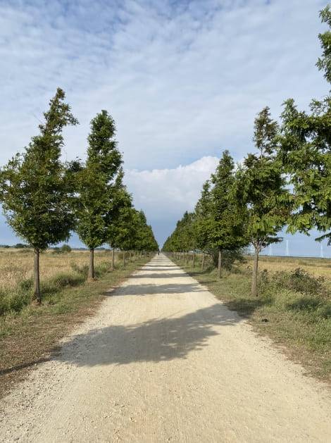 온라인 커뮤니티