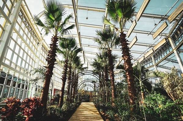 온라인 커뮤니티