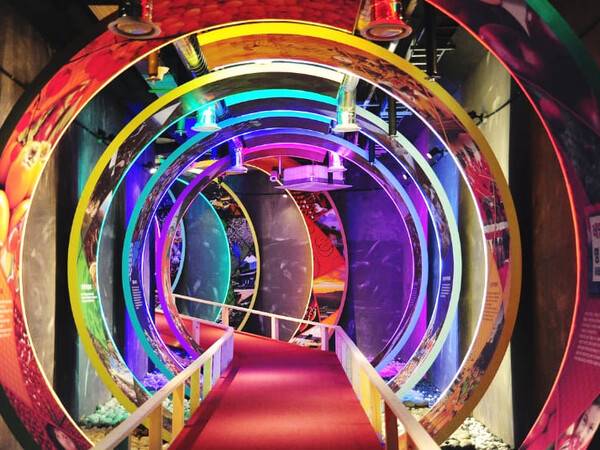 온라인 커뮤니티