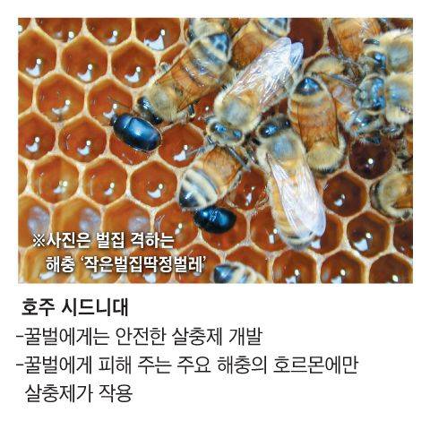 그래픽=이진영