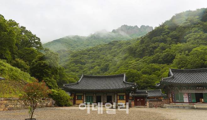 내장사 경내에서 바라본 서래봉 (사진=김명상 기자)