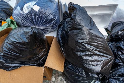 [게티이미지뱅크]