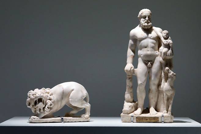 [서울=뉴시스] 박진희 기자 =  '곤봉을 든 헤르쿨레스와 아들 텔레푸스' 대리석 전신상. 신화 속 영웅 헤르쿨레스(헤라클레스)를 '영웅적 누드'의 모습으로 묘사한 상이다. 고대 그리스·로마 미술에서는 대체로 일반인은 옷을 입은 모습으로 묘사했지만, 신과 영웅은 나체로 표현했다. 왼팔로 아들 텔레푸스를 안고 오른손으로 헤르쿨레스 상징물인 곤몽을 잡고 기대어 있는데, 이 곤봉은 에우리스테우스왕이 내린 열두 과업 중 첫 번째 과업에 사용했던 것이다. 헤르쿨레스는 곤봉은 보통의 무기로 뚫을 수 없는 가죽을 지닌 네메아의 사자와 싸워 승리했다. 왼쪽은 '포효하는 사자' 대리석 전신상. 사납게 포효하는 사자를 사실적으로 묘사한 상이다. 고대 사자는 강인함, 용기, 담대함의 상징으로 여겨졌고, 사람을 헤치며 날뛰던 네메아의 사자처럼 신화에 등장하기도 한다. 2023.06.17. pak7130@newsis.com.  *재판매 및 DB 금지