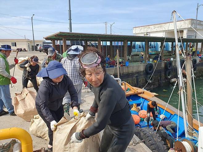 17일 오후 제주시 구좌읍 종달항에서 성게를 채취한 해녀들이 성게알을 분리하는 작업을 하기 위해 성게가 담긴 포대를 옮기고 있다. 허호준 기자