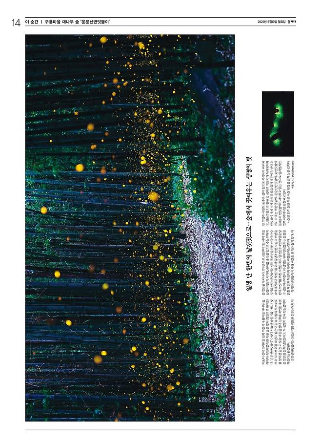 2023년 6월 19일자 <한겨레> 사진기획 ‘이 순간’ 지면.&nbsp;