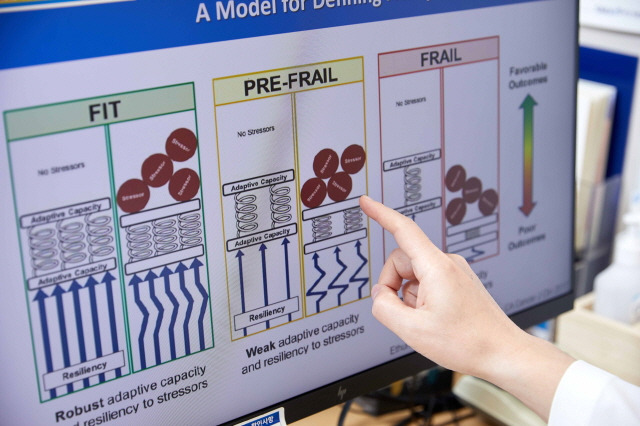 노쇠는 장기의 기능 저하처럼 노화나 질병 등으로 인한 손상이 누적되면서 나타나는 결과다./사진=신지호 기자