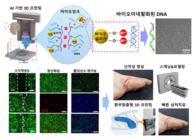 정현도 가톨릭대 교수 연구팀의 연구자료 이미지./사진제공=가톨릭대