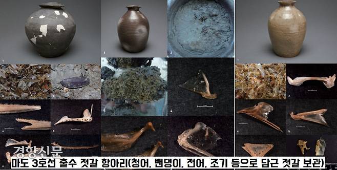 마도 3호선에서는 청어, 전어, 밴댕이, 조기와 같은 소형 어류 뼈들이 뒤섞여 담겨있는 항아리가 보였다. 즉 전어, 밴댕이와 같이 쉽게 부패되는 소형 어종을 뒤섞어 염장하고 발효시켜 만든 ‘잡젓’을 넣은 것으로 보인다.|국립해양문화재연구소 제공