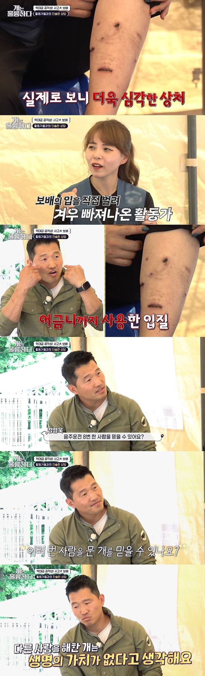 Kang Hyung-wook talked about the treatment of accident.On June 19, KBS 2TV Dogs Are Incredible introduced an accident dog treasure of treasure that asked Grandmas Boy in the 80s neighborhood in Jindo.On this day, Kang Hyung-wook paid attention to the injuries of an activist who was greatly bitten by the treasure of treasure.An activist who bit his leg recalled, I went in to lay a futon and thought that the line would not be pulled, so I tried to put it in the corner and put a futon on it.An activist said, I was biting and shaking. I thought I could not get out, so later I opened my mouth and took my legs out even if it was dangerous.Kang Hyung-wook looked at the wound and said, This is a bite using a molar, but it was trying to kill it.Can you believe someone who has drunk eight times? I never believe it, he said of the treasure of treasure. I can not ask whose life is worth more.I can not say that the lives of those friends who hurt others are worthy. It is my personal opinion. The most important thing is that an activist gives strength to many children who need help without being hurt.