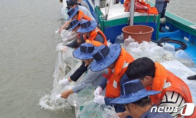 신안군은 지난 20일 압해읍 송공해역과 임자면 하우리해역에 수산자원 증강과 어가소득 증대를 위해 어린 갑오징어 5만 마리를 방류했다. (신안군 제공)/뉴스1