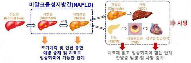 비알코올지방간질환 범위 및 예후.