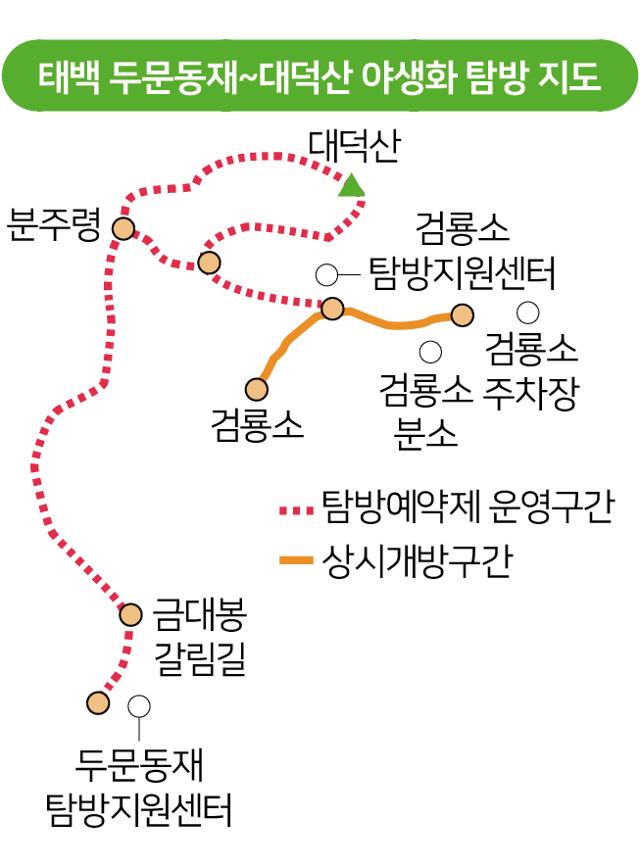 태백 두문동재~대덕산 야생화 탐방 지도. 그래픽=송정근 기자
