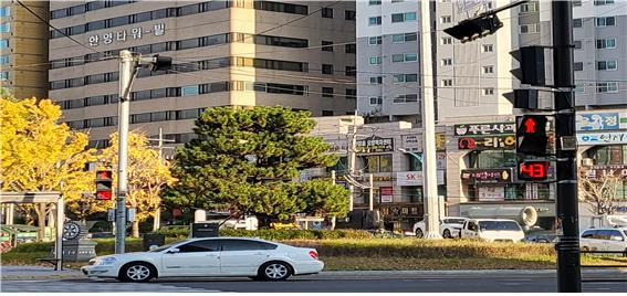 부산교육대학교 앞 횡단보도에 설치된 새 보행신호 잔여시간 표시장치가 적색등의 남은 시간을 알려주고 있다. [사진=부산광역시]