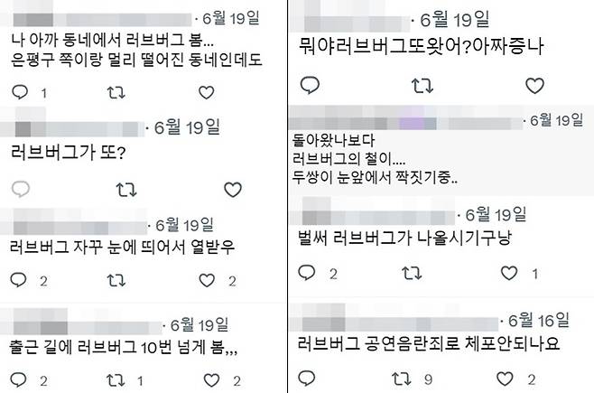 /사진=트위터
