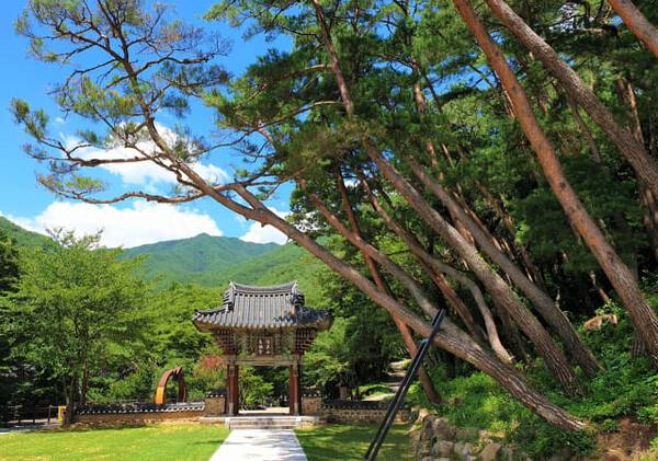 천은사 템플스테이 / 온라인 커뮤니티