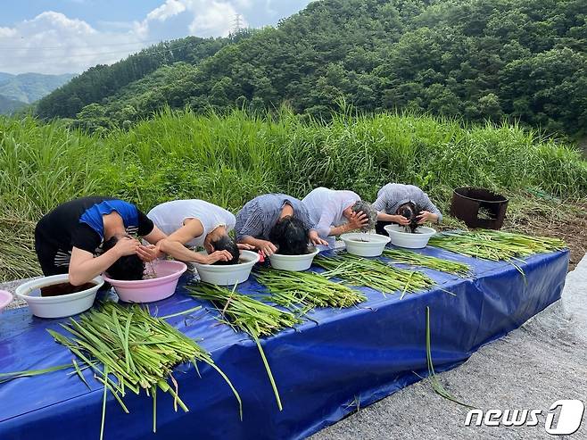 22일 충북 충주 대소원면 문주리 수주마을 주민들이 창포물로 머리를 감고 있다.(충주시 제공)2023.6.22/뉴스1