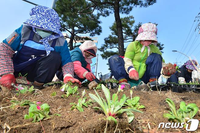 화단 꾸미는 공공근로자들. /뉴스1