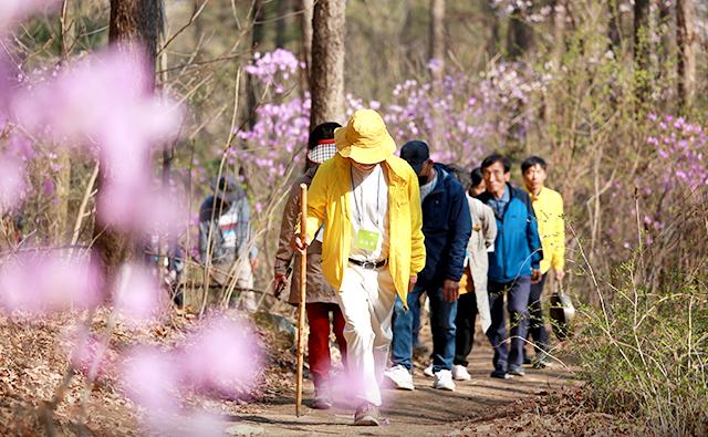 고도원 원장이 걷기명상 참가자들과 깊은산속옹달샘 주변 숲길을 걷고 있다. [사진제공=깊은산속옹달샘]