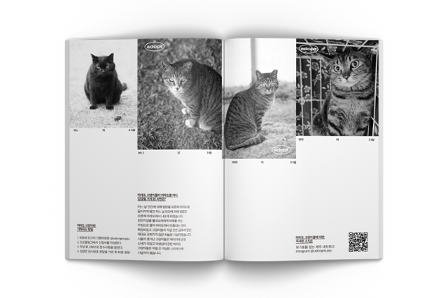 동네고양이 연구를 다룬 '매거진 탁(tac)!' 4호 내용. 매거진 탁 제공
