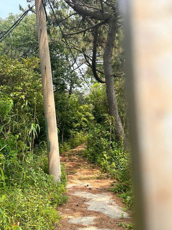 울산 장생포에 있는 죽도의 모습. 김윤호 기자