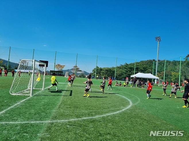 가야왕도배 전국 유소년 축구대회(자료사진)