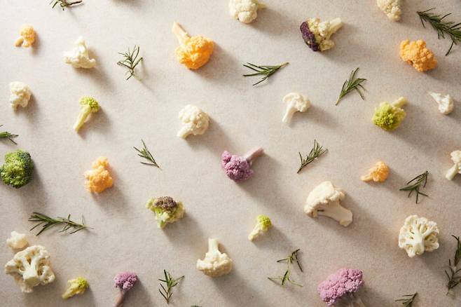 [사진=클립아트코리아]