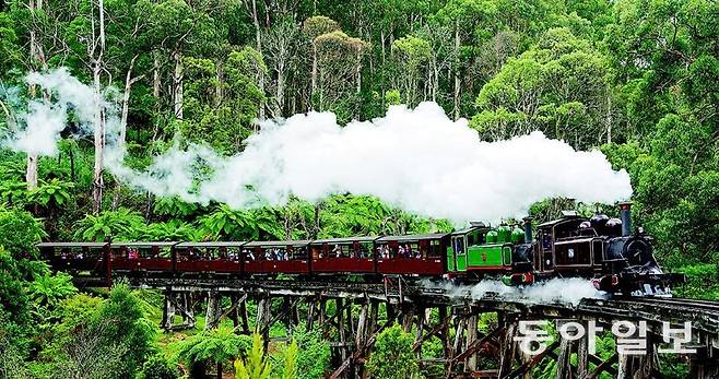 멜버른 외곽 단데농 국립공원 원시림 계곡에 놓인 100년이 넘은 목제 다리 위를 달려가는 퍼핑빌리 증기기관차.