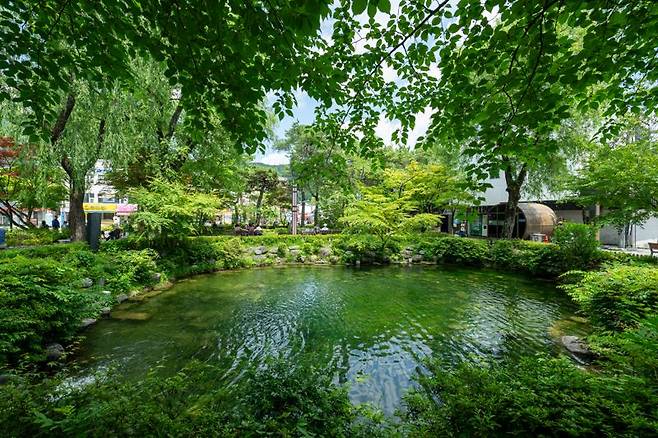 태백 도심에 있는 황지연못