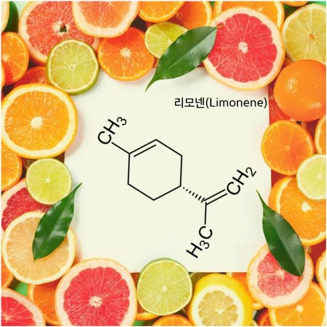 게티이미지뱅크