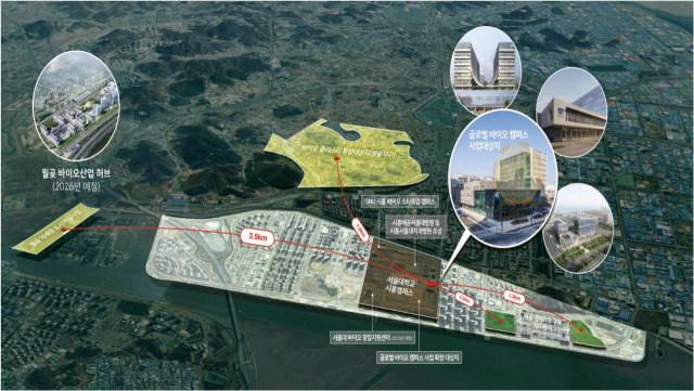 시흥시가 추진중인 경기 서부권 바이오 클러스트 조감도. 그래픽 제공 = 시흥시