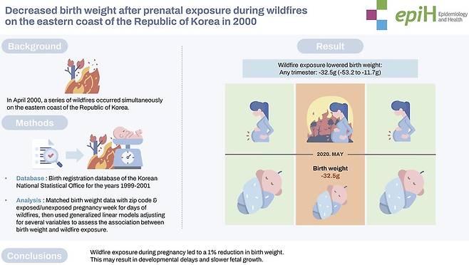 산불 연기 노출이 태아 건강에 미치는 영향 모식도 [논문 발췌]