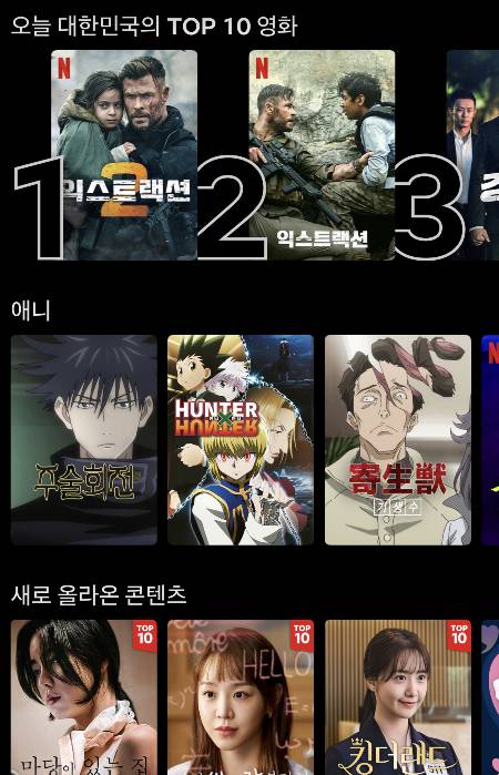 순위와 추천 알고리즘을 보며 늘 생각했다. 그 밖에 있는 수많은 컨텐츠들은 어떤 것일지. 그리고 그걸 만든 제작자 마음도 짐작했다. 고생했음에도 알고리즘에 속하지 못해 사각지대에서 얼마나 속상하게 부유했을지 싶어서./사진=넷플릭스 화면