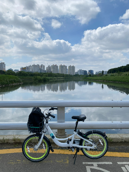 안양천의 평온한 광경. 동네에 이런 곳이 있었을지. 아마 평생 이 길로 안 와보지 않았을까 싶다. 지도앱에서 잠시 벗어나보지 않았다면./사진=호수에 마음을 빼앗겨 퇴근하고 싶은 남형도 기자