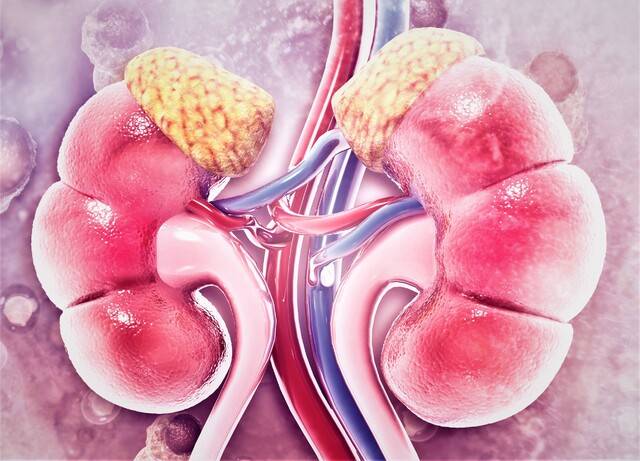 사진은 기사의 특정 사실과 관련 없음. 게티이미지뱅크