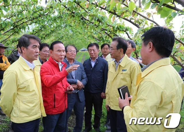 박덕흠(왼쪽 두번째) 국회의원과 최재형(왼쪽 첫번째) 보은군수가 삼승면 냉해피해 농가를 찾아 상황을 살펴보고 있다. (보은군 제공) /뉴스1