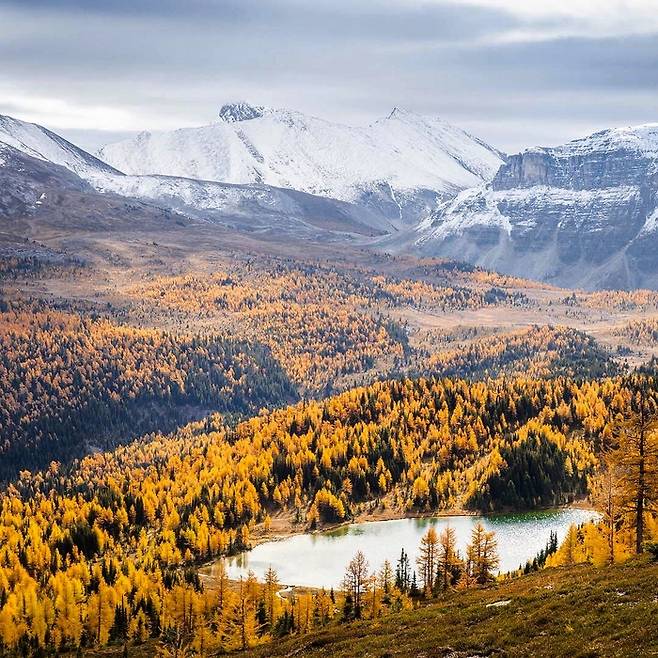 캐나다 밴프국립공원 선샤인 메도우 / 사진 = 캐나다관광청