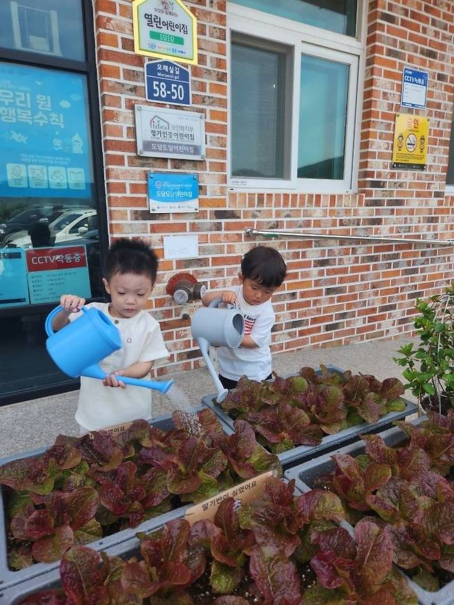 [거제=뉴시스] 신정철 기자= 거제시 농업기술센터(소장 강윤복)는 어린이들에게 농업 체험 기회를 제공하기 위해 관내 어린이집과 유치원 30개소에 210세트의 상자텃밭을 무료로 분양했다고 26일 밝혔다. 어린이들이 직접 물을 주고, 햇빛을 받아 작물이 성장하는 과정을 경험하고 있다.(사진=거제시 제공).2023.06.26. photo@newsis.com *재판매 및 DB 금지