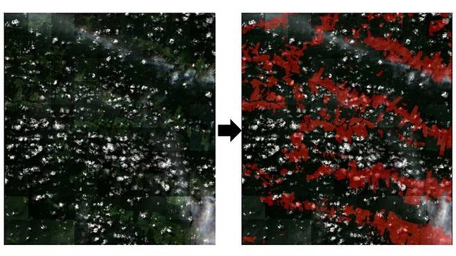 한기대 연구진이 딥러닝 기술을 활용해 구름을 제거한 뒤 산림 파괴 영역을 탐색한 결과. 사진=한기대 제공 *재판매 및 DB 금지