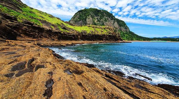 &nbsp;온라인 커뮤니티