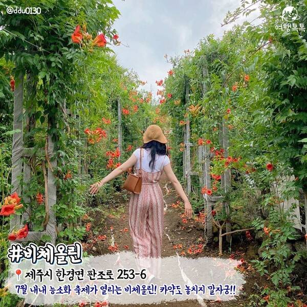 7월 제주 가볼만한 곳 / ⓒ여행톡톡 / 사진 @ddu0130