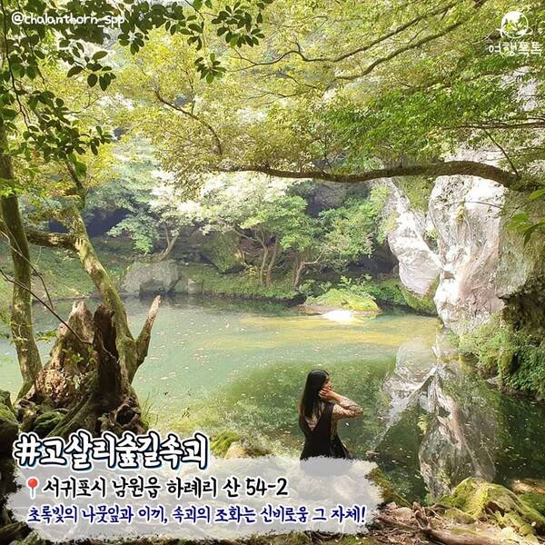 7월 제주 가볼만한 곳 / ⓒ여행톡톡 / 사진&nbsp;@chalanthorn_spp&nbsp;