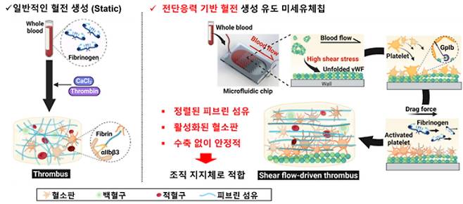 미세유체기술을 통해 IVET(혈관화된 인공 혈전)를 제작하는 원리와 특성. 연구 그림 UNIST 제공