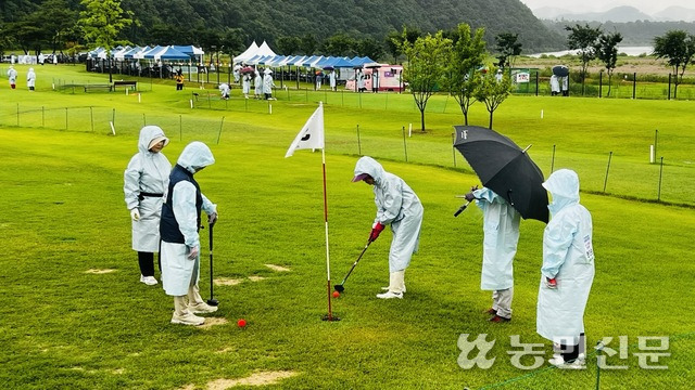 26일 경기 연천파크골프장에서 열린 ‘제1회 농촌사랑 파크골프대회’ 경기·인천·서울 예선전에서 여자부 선수들이 경기를 하고 있다.